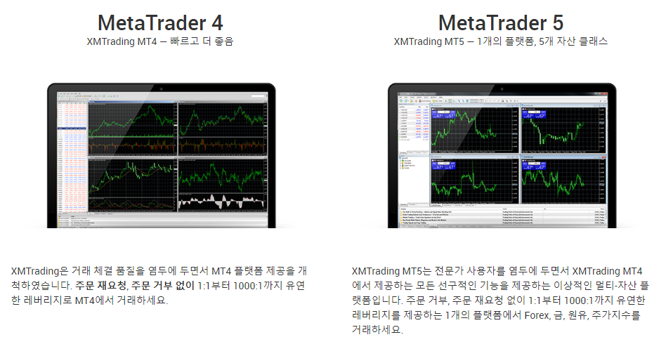 MT4 / MT5 플랫폼